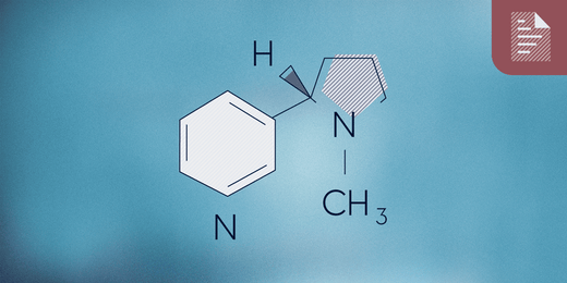 Nicotine salt, free-base and polacrilex: the forms of nicotine in pouches explained